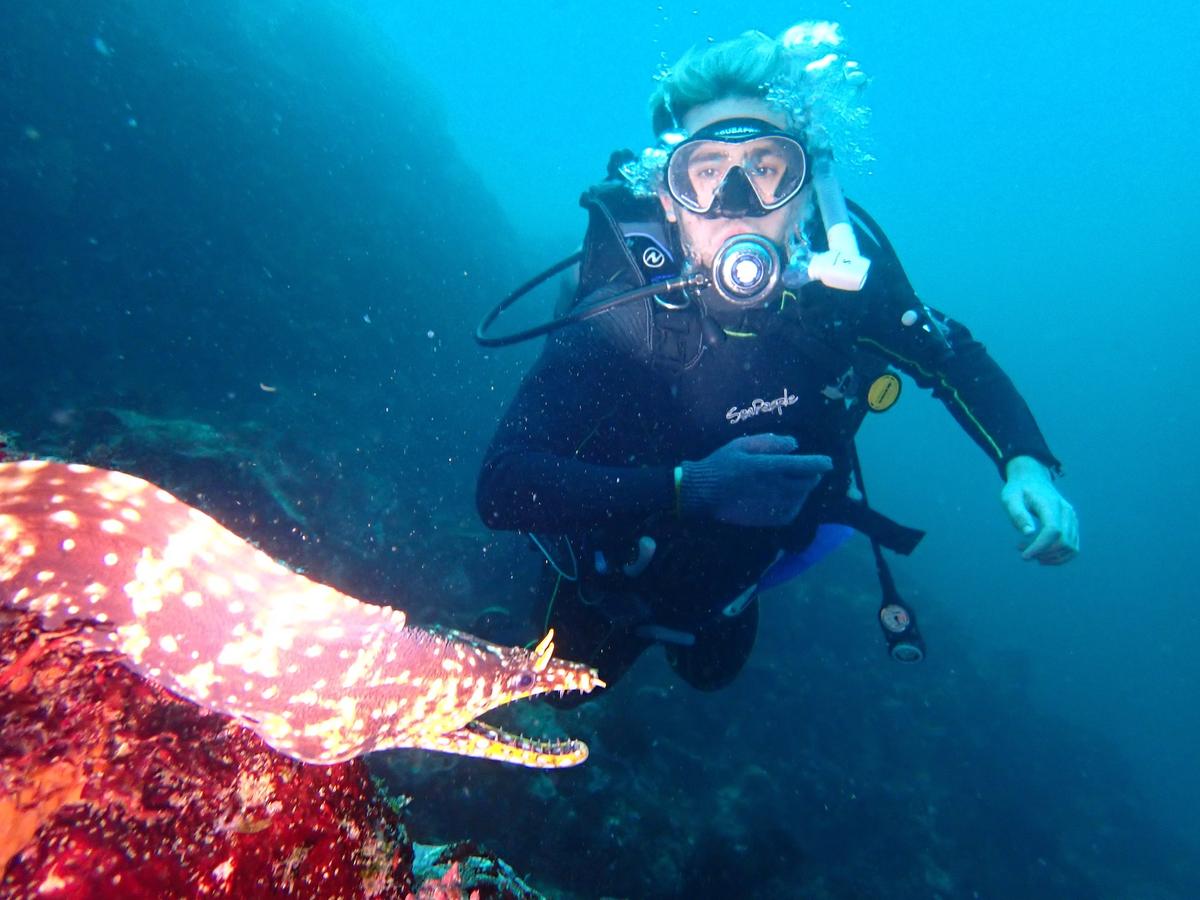 Fun diving in the clear sea of Izu, Japan