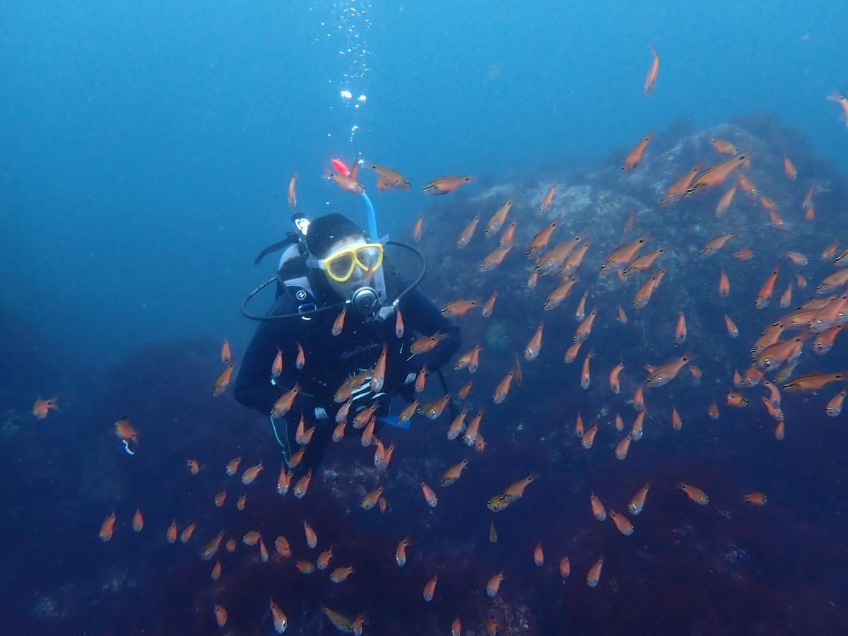 Beginner enjoying discover scuba diving on the Izu Peninsula, Japan