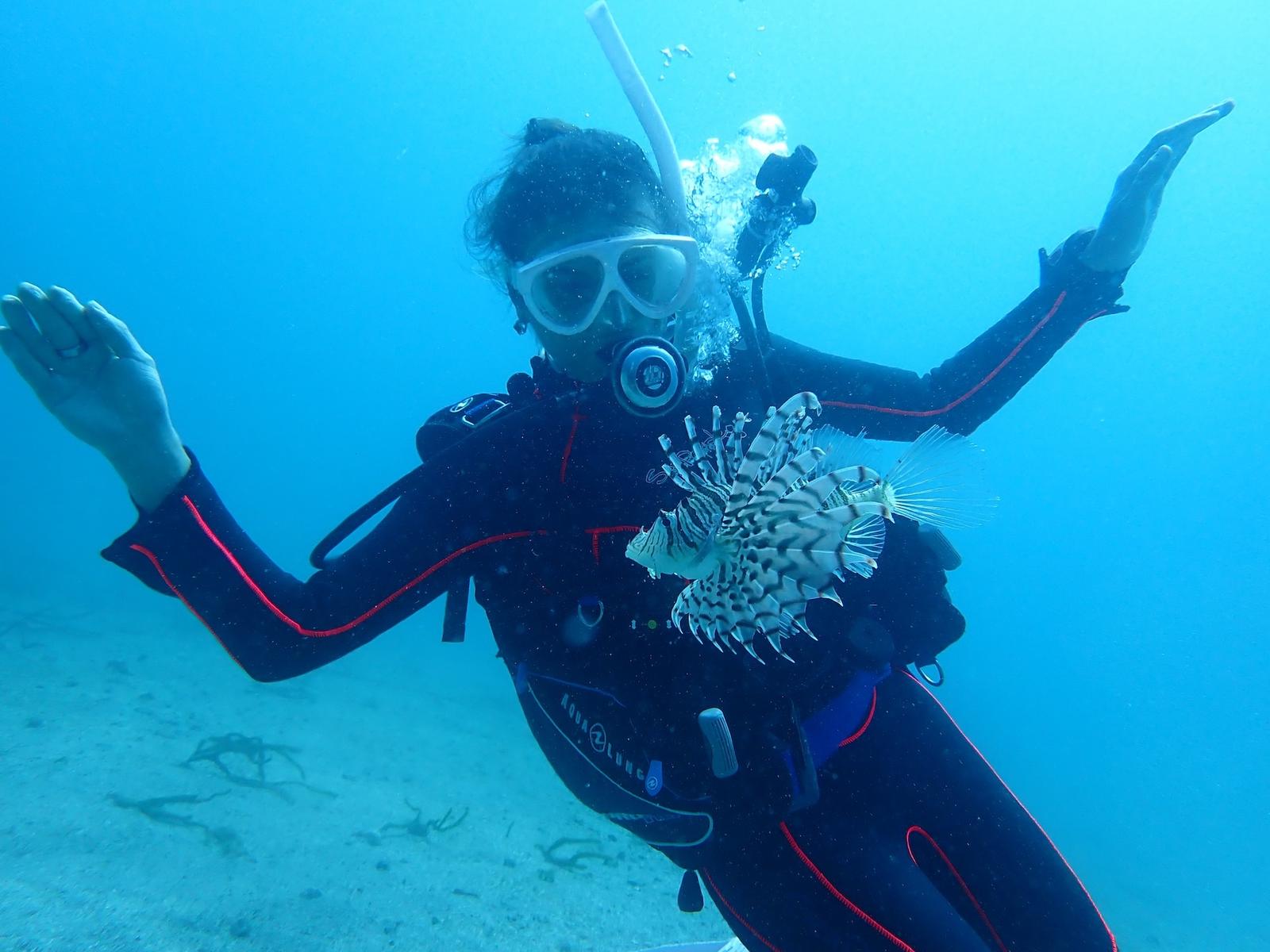Underwater scene at a beach dive site on the east coast of the Izu Peninsula, Japan