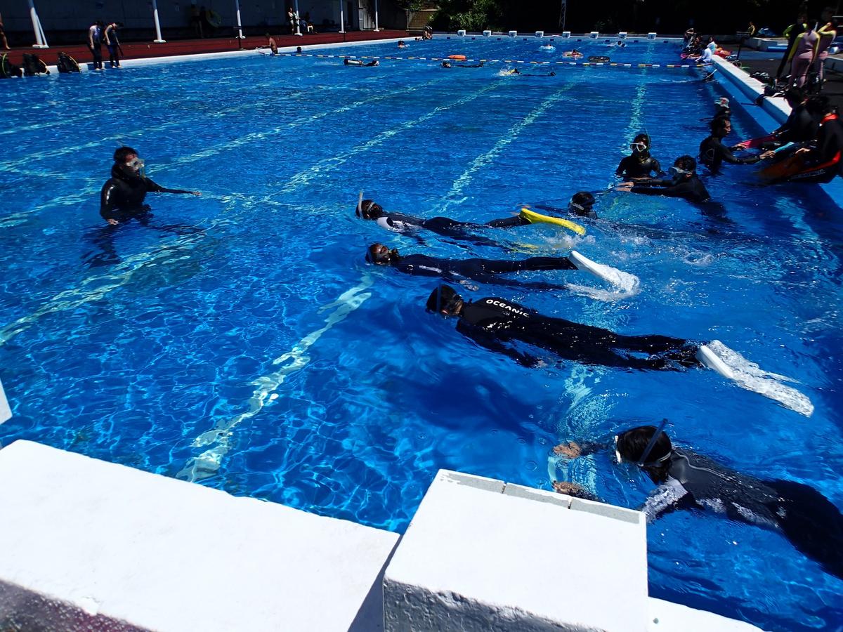 フィンを履いて本格的に泳法を学ぶCカード取得コースのプール基礎トレーニング｜ダイブドリーム