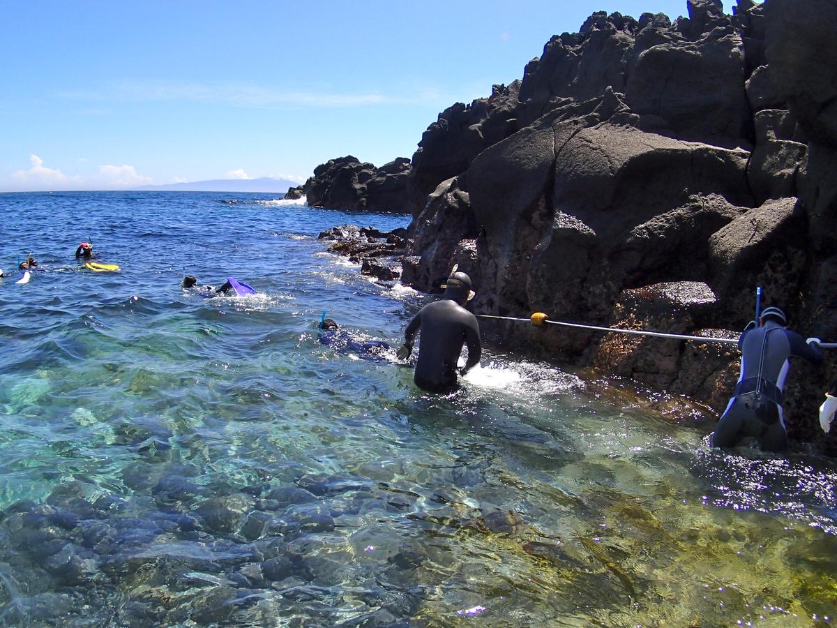 伊豆海洋公園の海水50mプール全景｜ダイブドリームのプール基礎トレーニング