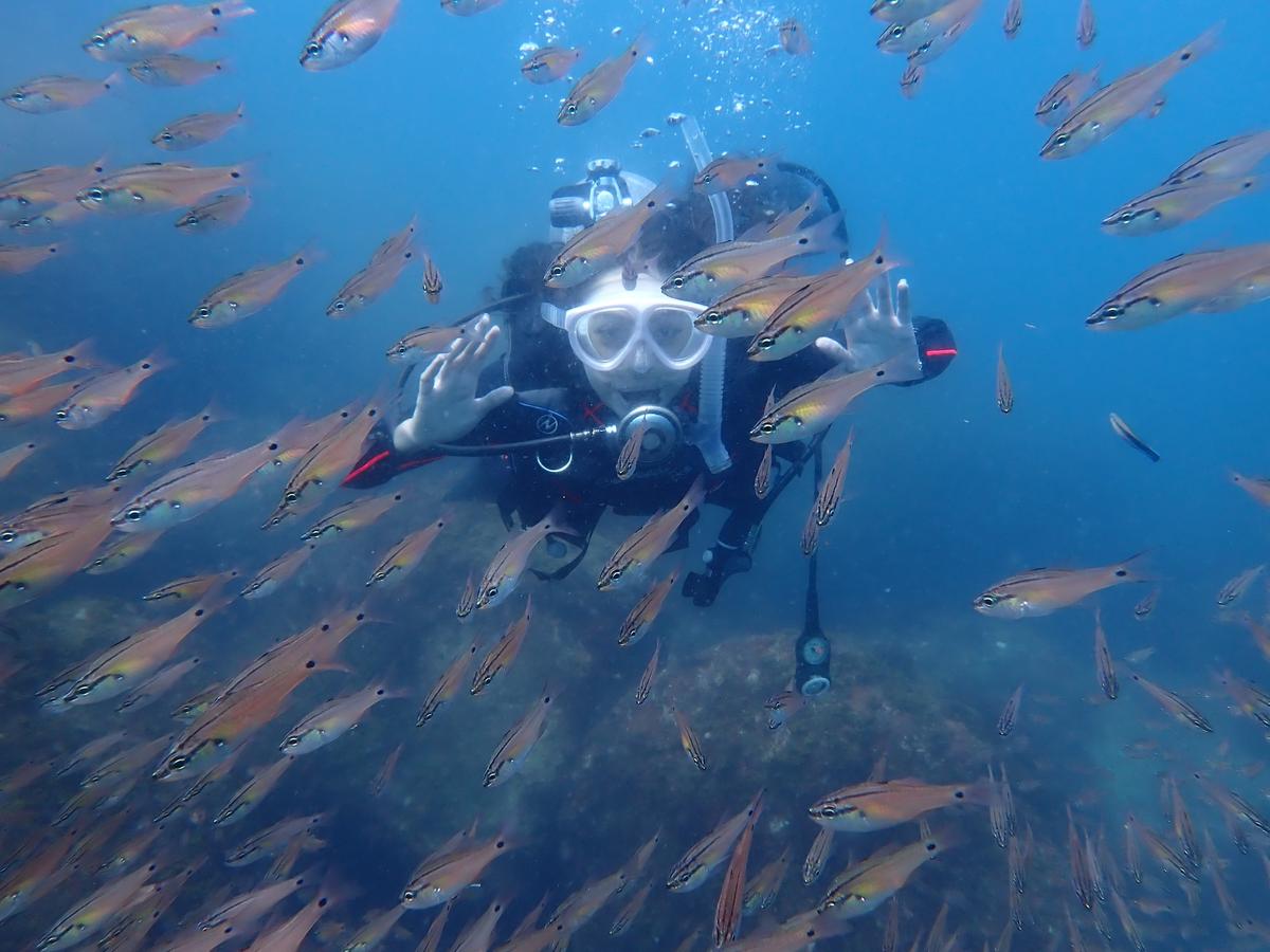 城ヶ崎海岸・伊豆海洋公園の海でスノーケリングを楽しむ様子｜ダイブドリーム
