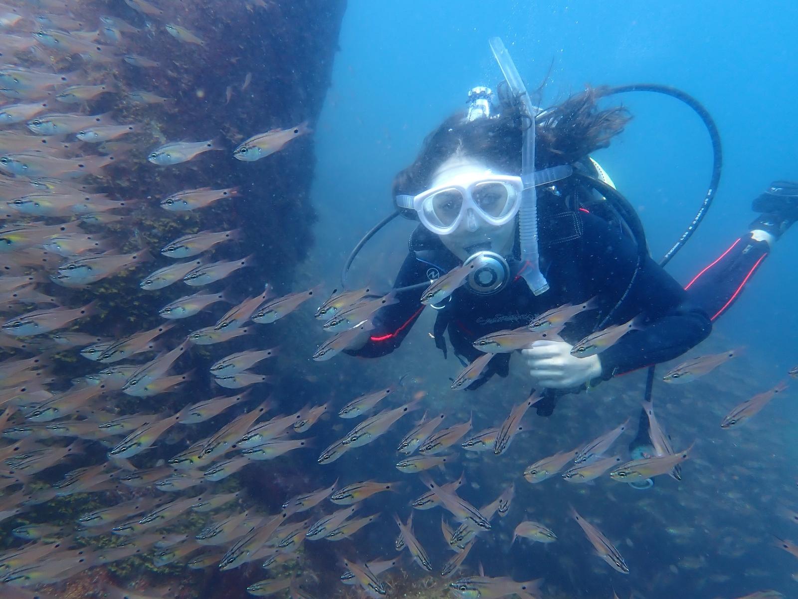 Snorkeling in the clear sea of Izu, Japan