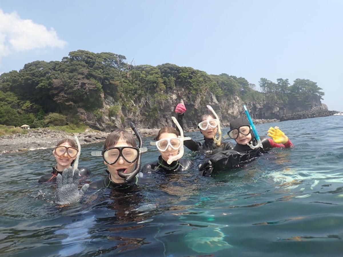 城ヶ崎海岸・伊豆海洋公園の美しい水中の景色｜体験ダイビング