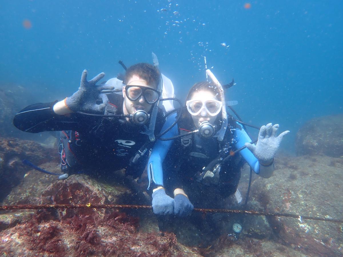 Marine life during a first-time scuba dive on the Izu Peninsula, Japan