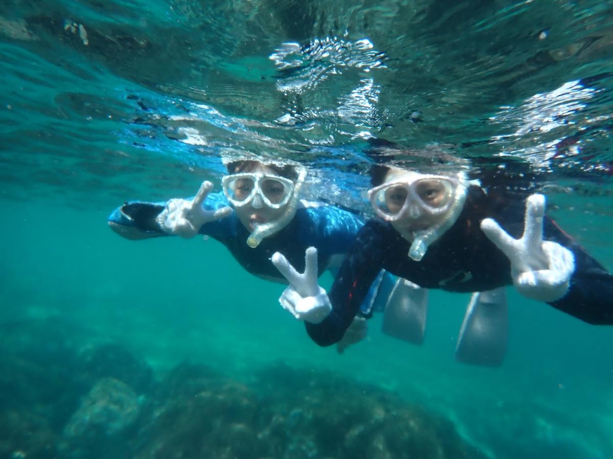 Snorkelers looking down at the underwater world from the surface — Izu Peninsula, Japan