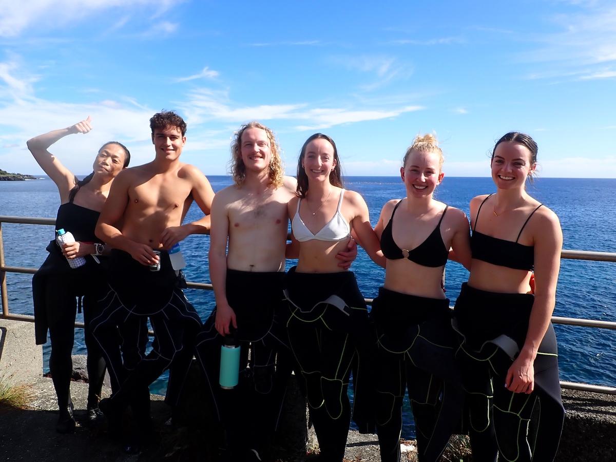Discover scuba diving experience in the clear waters of Izu, Japan
