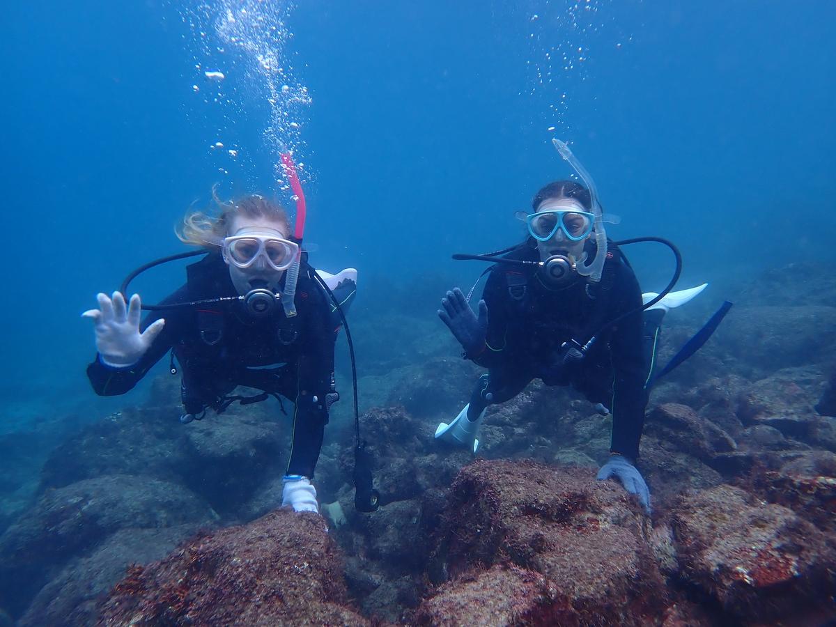 Beginner enjoying scuba diving in the clear sea of Izu, Japan