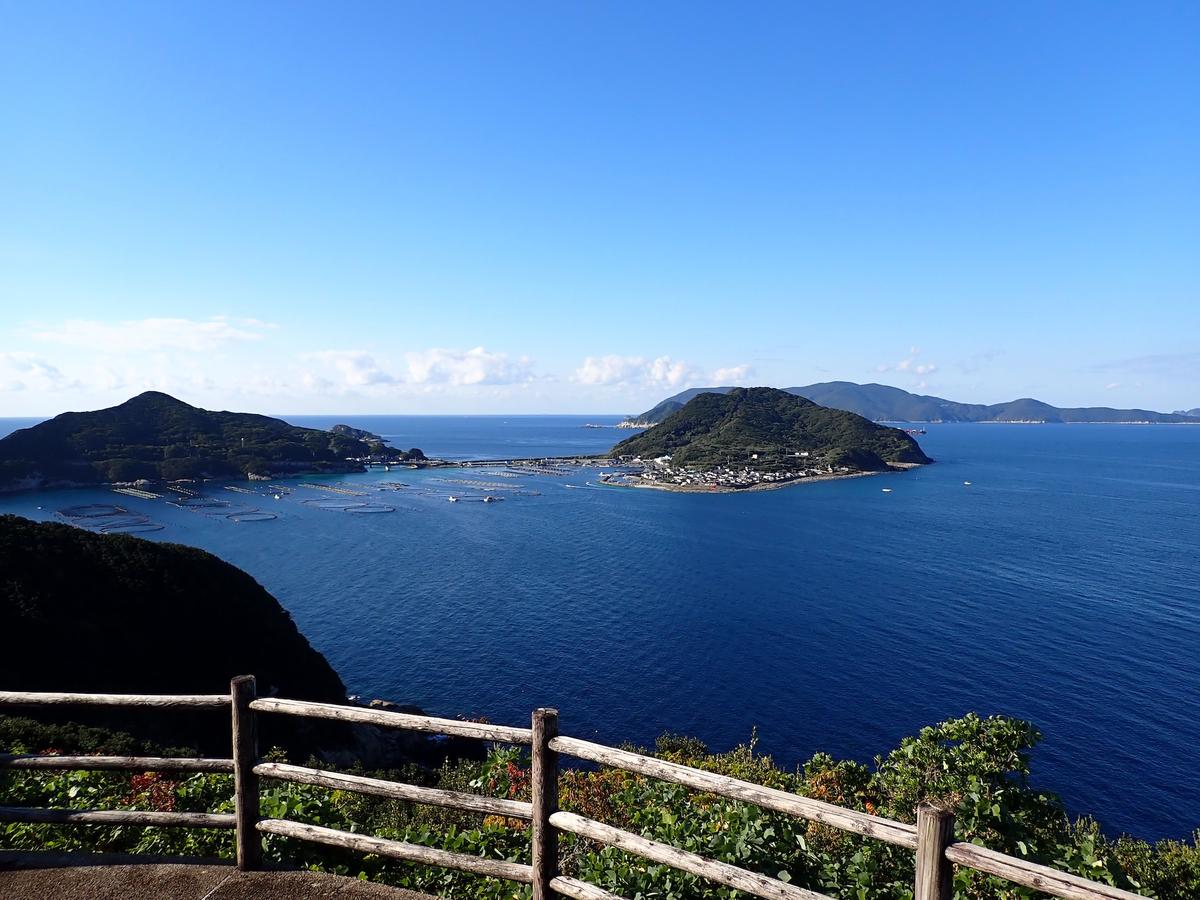 四国柏島ダイビングツアー｜豊後水道の透明度の高い海とサンゴ