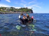 城ヶ崎海岸・伊豆海洋公園の海中生物