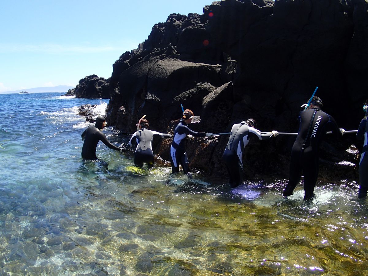 スノーケリングで体を慣らすため、岩場のロープを伝って海へ入っていく参加者